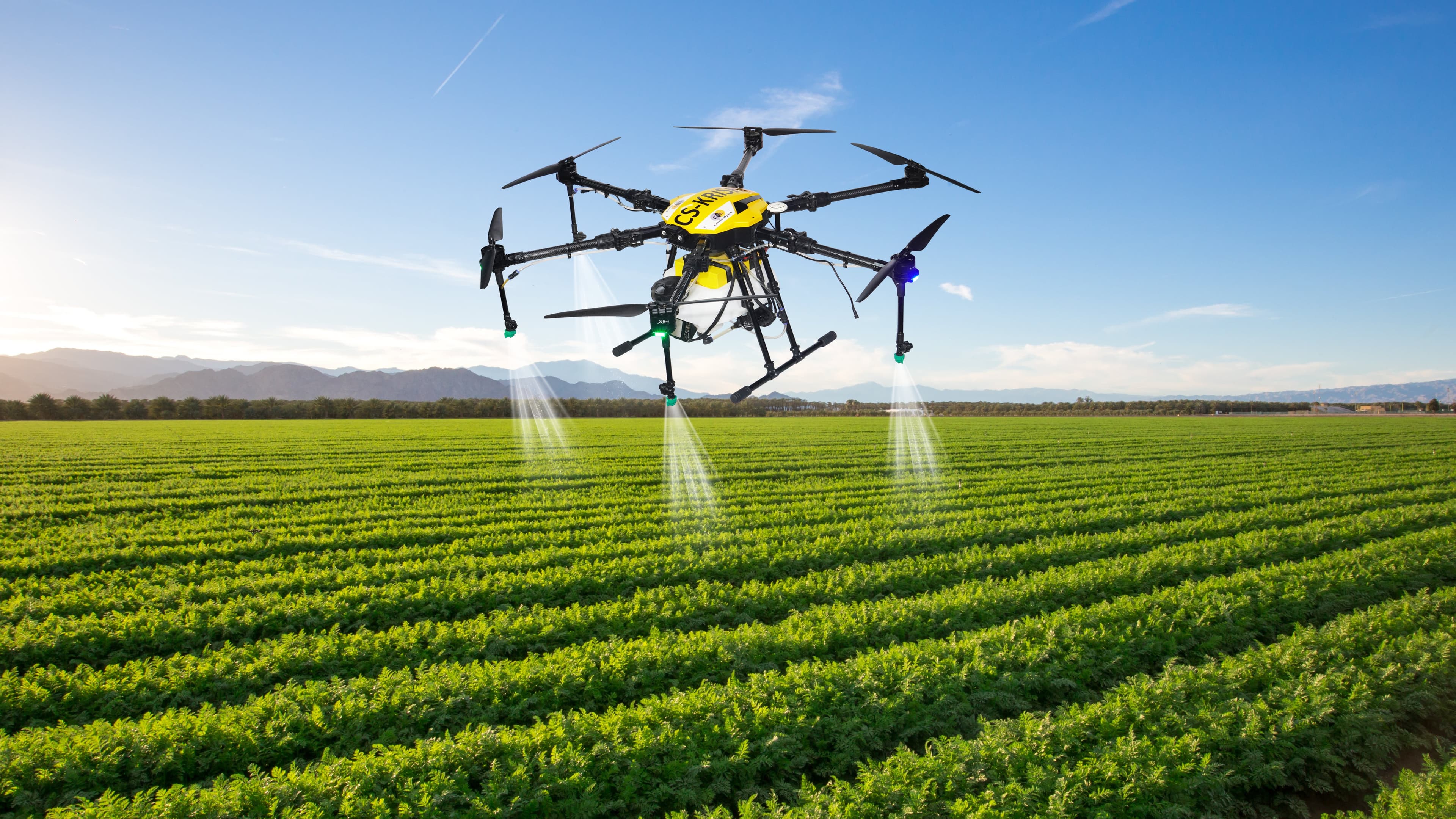 Agriculture