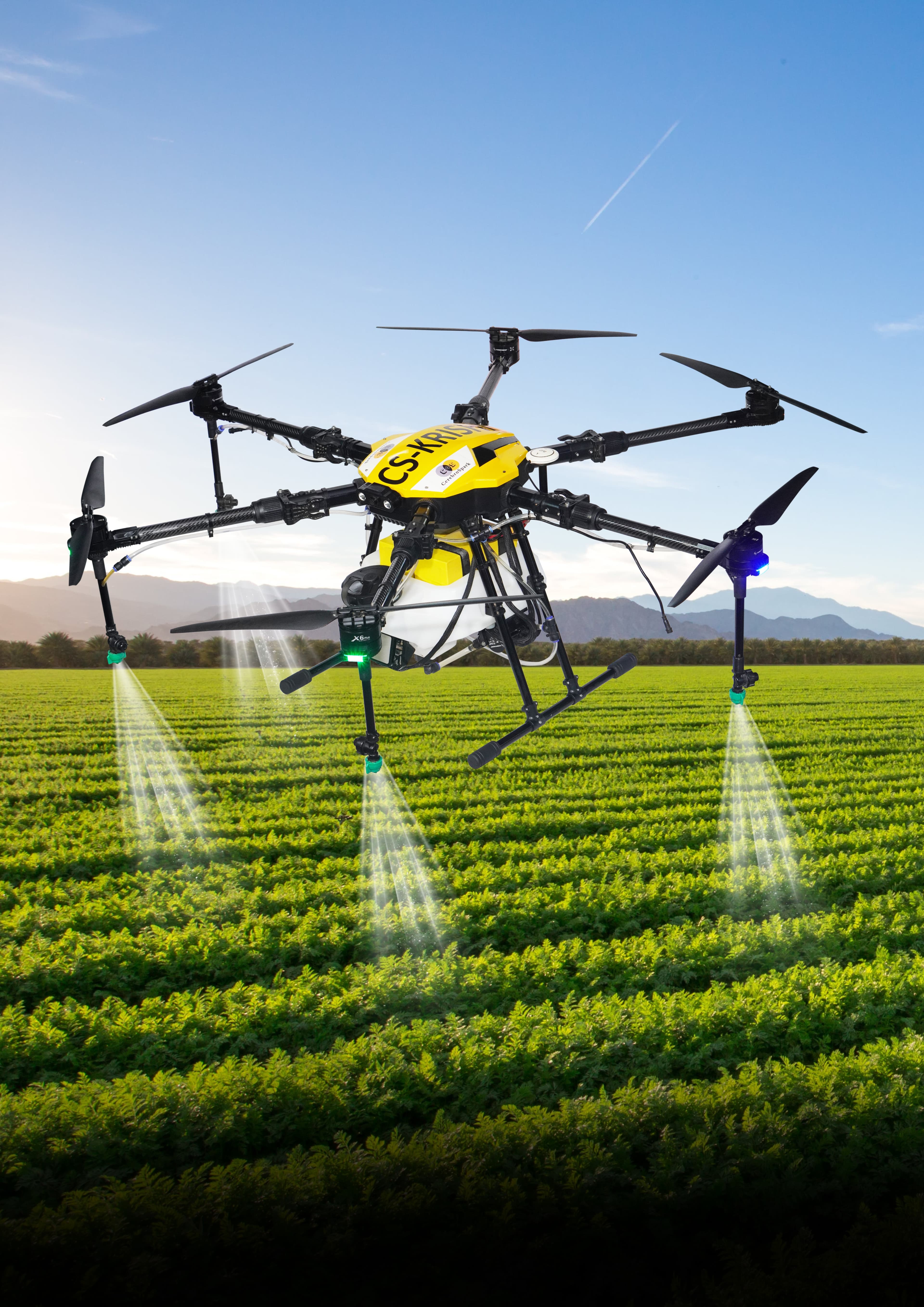 Agriculture